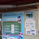 여의도공원인라인대여소 네이버블로그