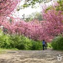 완산-3 이미지