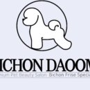 비숑다움 이미지