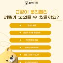 인동동물병원 이미지