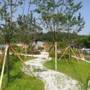 둔기마을 이미지