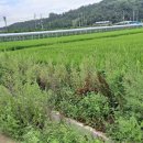 청통공인중개사사무소 이미지