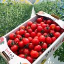 지금 장수농장 이미지