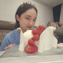 블랙레이디광명점 | 7월일기 ( 생일 , 메비 , 레이디디올스몰 , 20개월 아기 , 셀프사진관 , 항공권 )