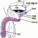 지리산한약방 - 군산시 구시장로 56 | 지리산한약방