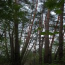 태호공업사 이미지