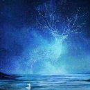 SOUL(쏘울) 이미지