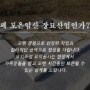대한장묘산업