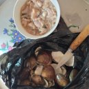 점심은 백합죽 이미지