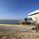 동코 이미지