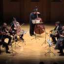 프렌치 챔버오케스트라 이미지