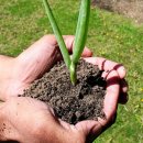 바른손한의원 이미지