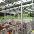 우사농장 이미지