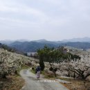 학마을농장 이미지