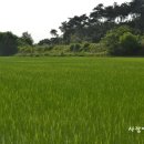 계전농장 이미지