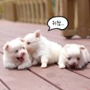 새벽