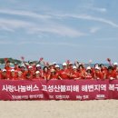 정화 - 서구 토성동5가 | 정화