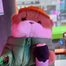 짱뽑기샵 이미지