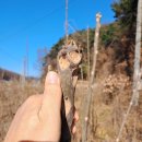 두름농장 이미지