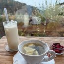 상호농장 | 예산 예당호수 ‘아그리르’ 방문기｜사과농장 직영 감성 + 가족 체험까지
