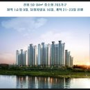 금강아파트앞 이미지