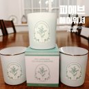 내강아지옷장 | 피에브 에어워셔 고체 탈취제 화장실 주방 냄새 잡은 사용 후기