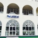 폴라베어(Polarbear) 이미지