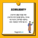 세이택스 이미지
