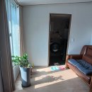 도로시민박 이미지