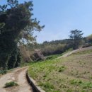 달고나모텔 이미지