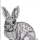 젠탱글아트 이미지