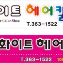화이트헤어칼라 이미지
