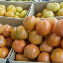 오부자청과 이미지