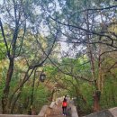 오록2리산위 | [중국 제남 여행] 천불산(千佛山) 등반 후기