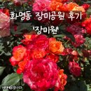 장미원내부 이미지