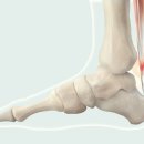 양재(야간) 이미지