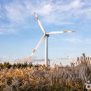 은평더맑은의원 이미지