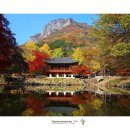 백양사 쌍계루 이미지