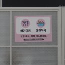 댕글라이프 이미지