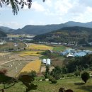 국곡리 고인돌 이미지