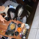 그린F5 동대문 본부 | 2월의 고해성사