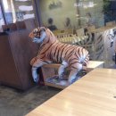 하나노인복지회관 이미지