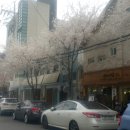 제이팜므