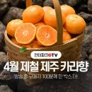 인터파크 이미지