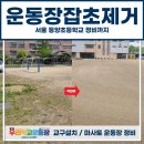 등양초등학교 이미지