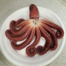 바다클라쓰 이미지