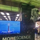 빅뱅사이언스 | 더현대 서울 3월 팝업 방문 후기 | 모어사이언스, 테디테일즈, 명탐정 코난 + 정돈 프리미엄