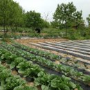 영생 농장 이미지