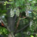 순포습지 이미지