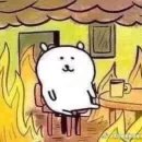 디비독 | 삿포로 워홀 75~80일차 | 눈축제가먼데사람왜캐많은데